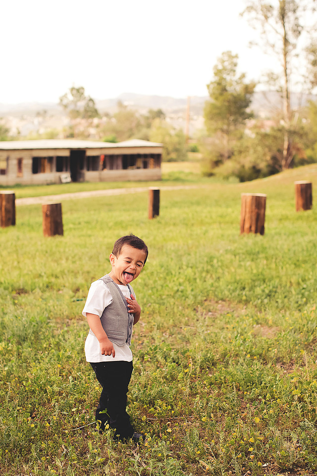 family photographer murrieta wine field