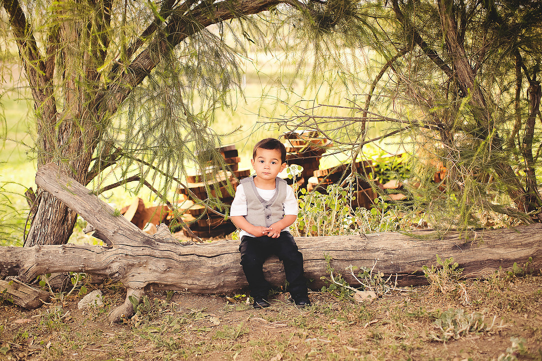 family photographer murrieta wine field
