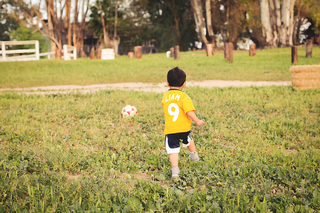 family photographer murrieta wine field