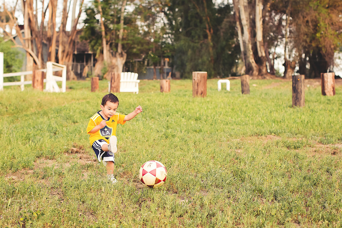 family photographer murrieta wine field