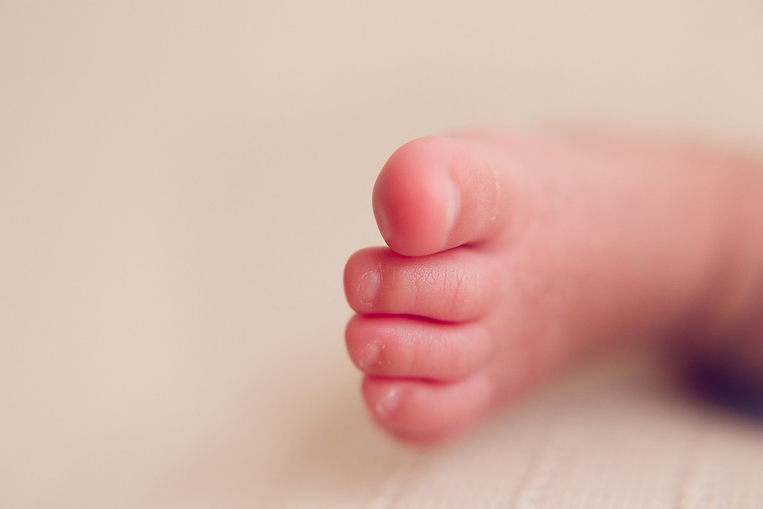 newborn photographer in san diego county
