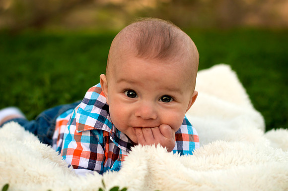 Family Photography
